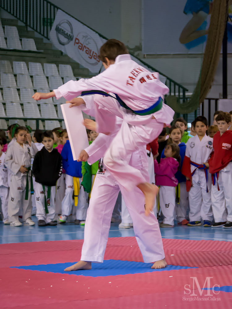TAEKWONDO CAMPEONATO PAREJAS ABRIL 2018_2049.jpg
